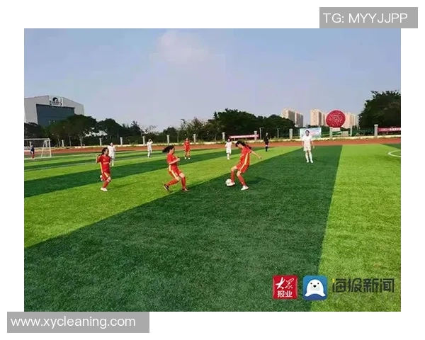 当今世界著名足球球星竞技风采与影响力全景深度解析